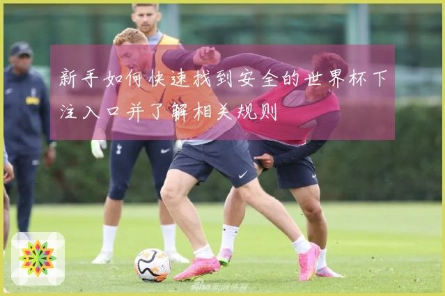 新手如何快速找到安全的世界杯下注入口并了解相关规则